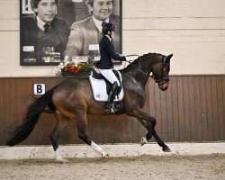 dressage horse Jovinio (Hanoverian, 2020, from Jovian)