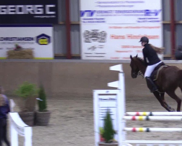 Reitturnier Behrendorf 2025