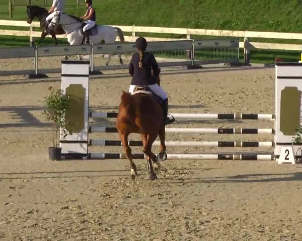 Linkenheim-Hochstetten 2013