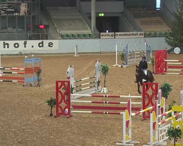 Reitturnier Kreuth 2025
