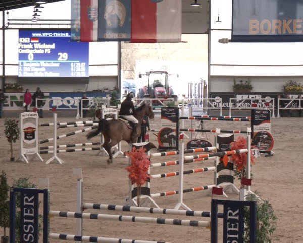 Reitturnier Borken (Hessen) 2025