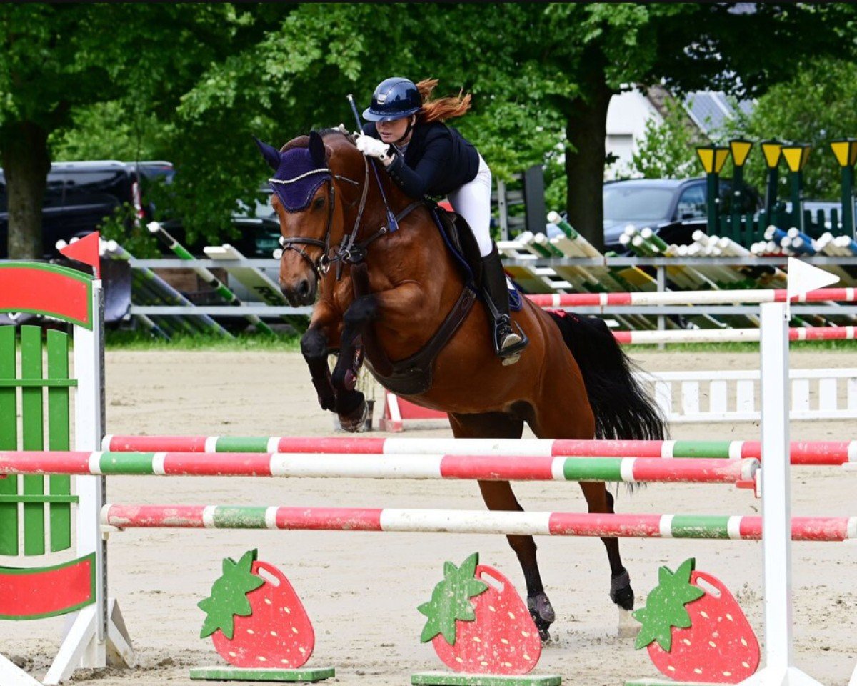 Springpferd Anka 358 (Westfale, 2013, von Abke 4)