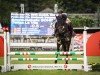 dressage horse Danza La Vita (Hanoverian, 2011, from Desperados FRH)