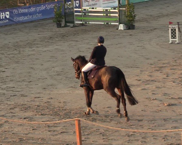 Reitturnier Scharnebeck 2025
