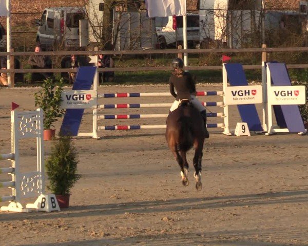 Reitturnier Scharnebeck 2025