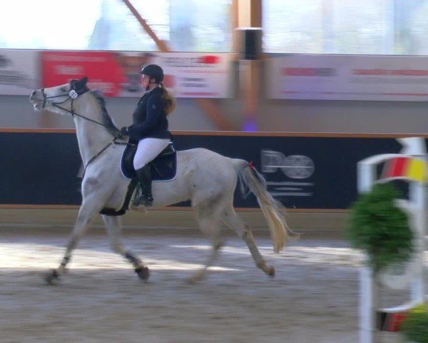 Reitturnier Asperden 2025