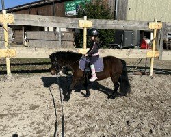 dressage horse Prinzessin Lillifee 12 (Pony without race description, 2010, from Unbekannt PONY)