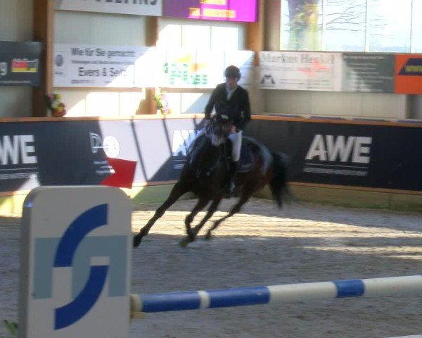 Reitturnier Asperden 2025