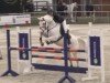 jumper Fly 136 (French Pony, 2005, from Un Prince du Ruere)