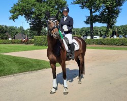 dressage horse Rosalie 274 (Trakehner, 2015, from Buddenbrock)