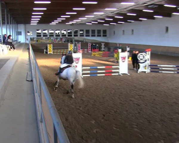 Reitturnier Freudenberg 2025