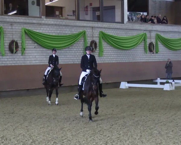 Reitturnier Hellefeld 2025