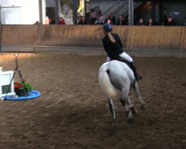 Reitturnier Freudenberg 2025