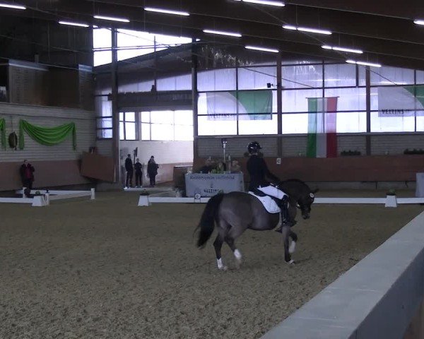 Reitturnier Hellefeld 2025
