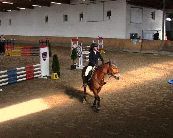 Reitturnier Freudenberg 2025