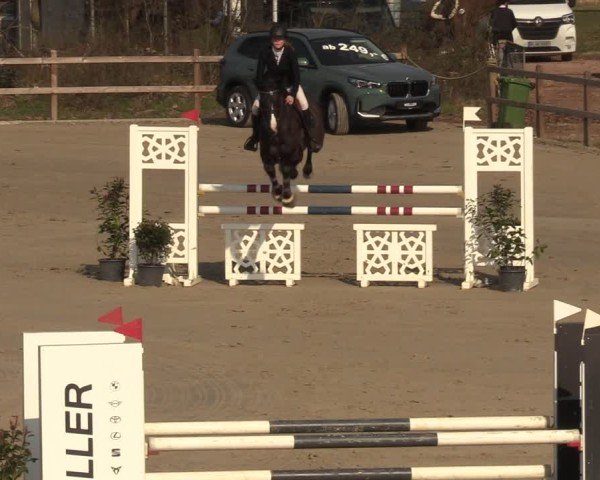 Reitturnier Scharnebeck 2025