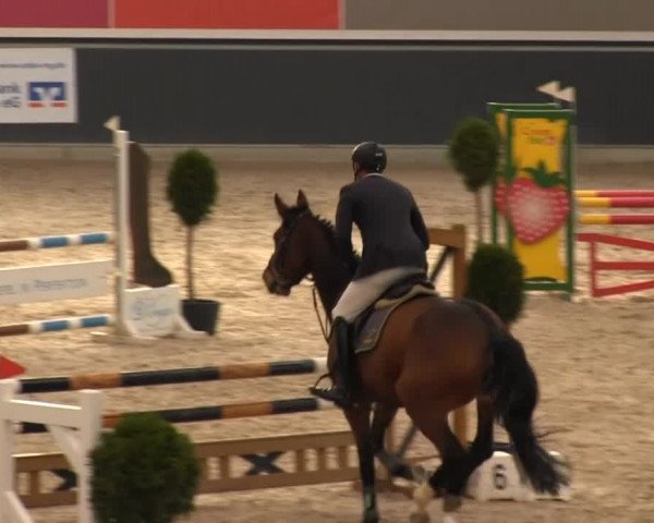 Springturnier auf dem Abtshof 2013