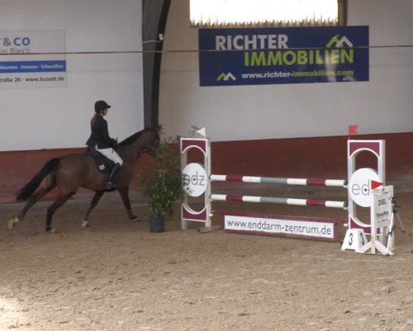 Reitturnier Viernheim 2025