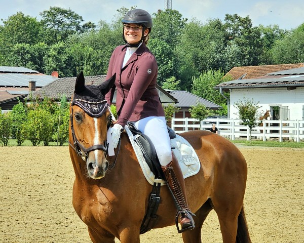 dressage horse Falandia P (Westphalian, 2015, from Fashion Maker)