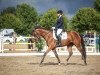 dressage horse Freya 354 (Trakehner, 2014, from Hirtentanz 2)