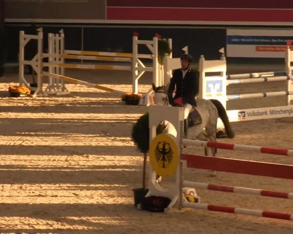Springturnier auf dem Abtshof 2013