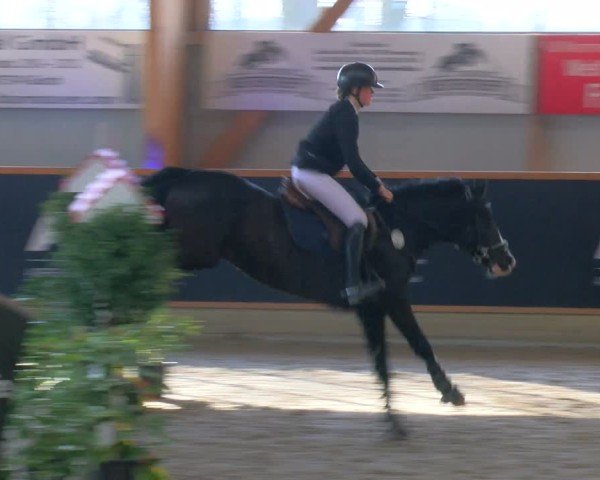 Reitturnier Asperden 2025