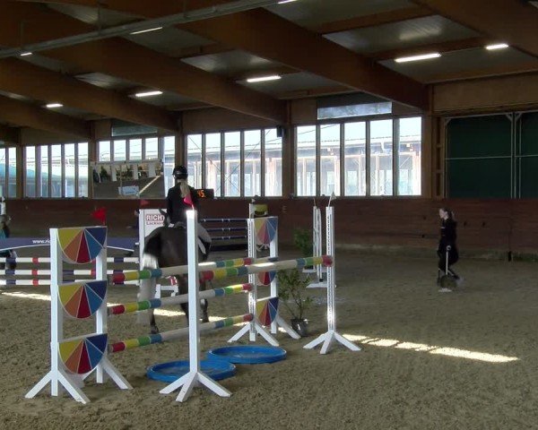 Reitturnier Coesfeld / Lette 2025