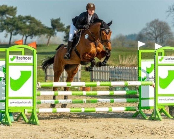 broodmare Bel Etage's Immobiliengirl (Hanoverian, 2009, from Clearway)