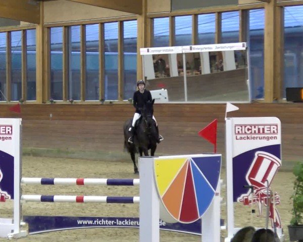 Reitturnier Coesfeld / Lette 2025