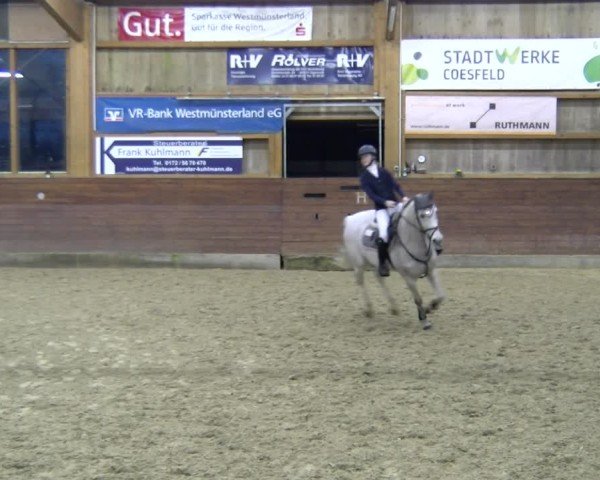 Reitturnier Coesfeld / Lette 2025