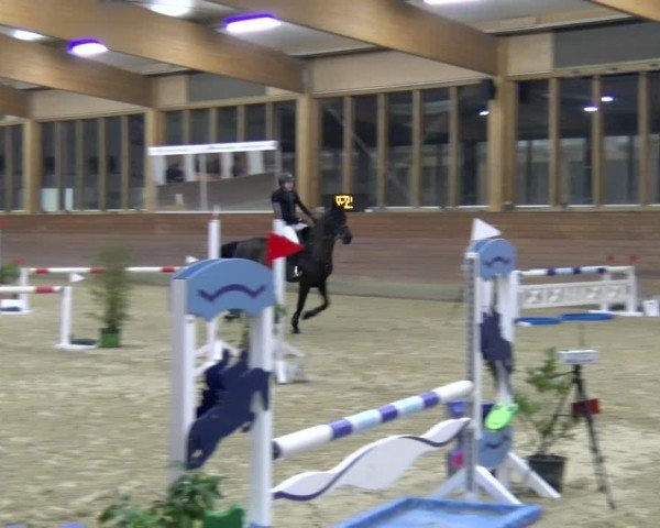Reitturnier Coesfeld / Lette 2025