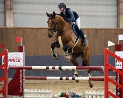 jumper Longina 4 (Oldenburg show jumper, 2013, from Los Angeles)