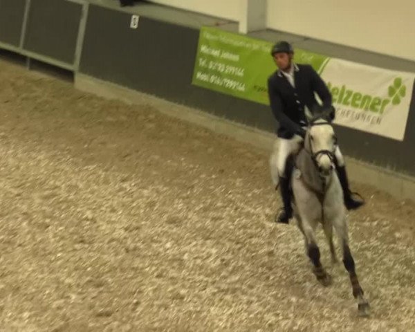Springturnier auf dem Abtshof 2013