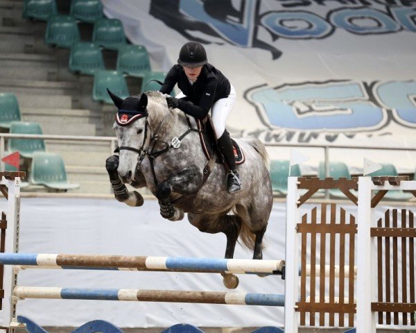 Springpferd MIABELLA DR (Holsteiner, 2019, von Cornet Obolensky)