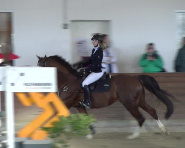 Reitturnier Coesfeld / Lette 2025