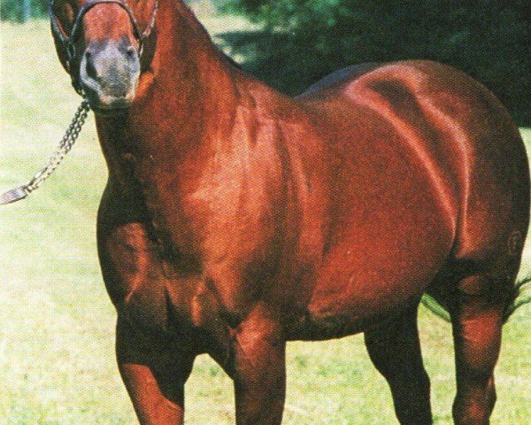 Deckhengst Pepper Pride (Quarter Horse, 1981, von Docs Benito Bar)