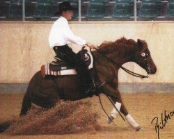 Pferd Whiz A Gold (Quarter Horse, 1993, von Topsail Whiz)