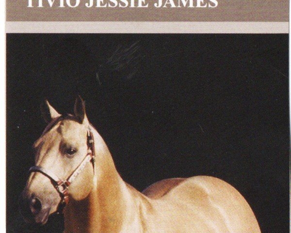 stallion Tivio Jessie James (Quarter Horse, 1985, from Frekles Tivio Jess)