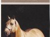 Deckhengst Tivio Jessie James (Quarter Horse, 1985, von Frekles Tivio Jess)