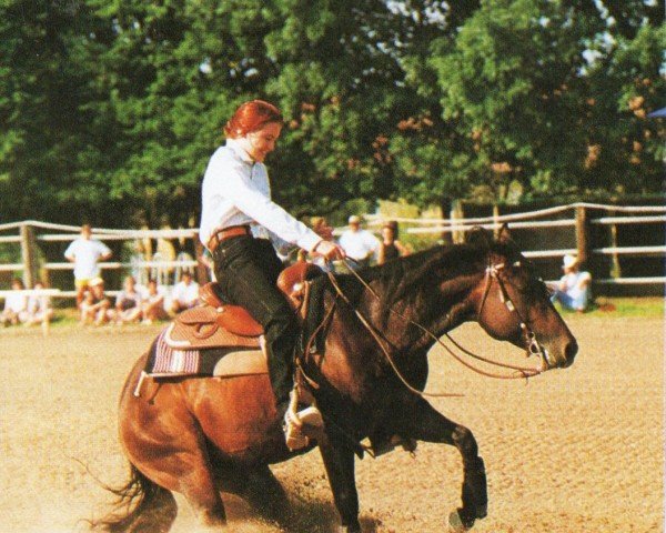 stallion Pocos Flashy Jac (Quarter Horse, 1992, from Boggies Flashy Jac)