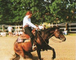 Deckhengst Pocos Flashy Jac (Quarter Horse, 1992, von Boggies Flashy Jac)