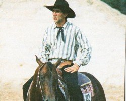 Pferd Po Bayoto Doc (Quarter Horse, 1990, von Buddy Otoe)