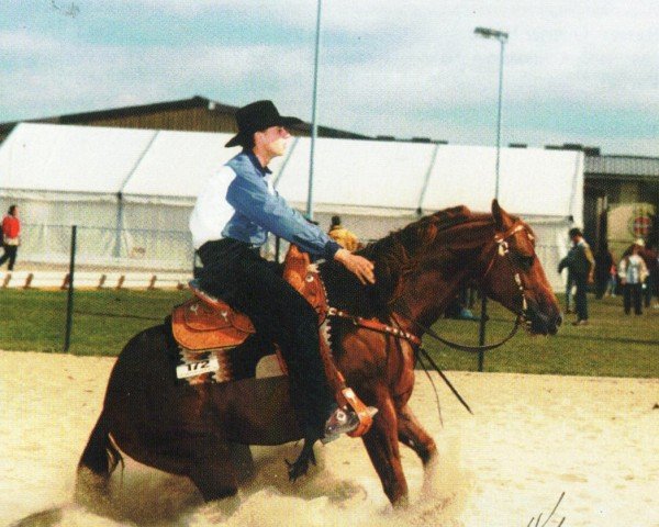 Deckhengst Olena San Badger (Quarter Horse, 1992, von Peppy San Badger)