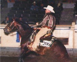 Deckhengst Pauli OLena (Quarter Horse, 1991, von Doc OLena)