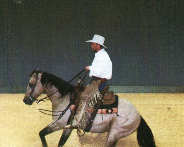 stallion PW Doc Tom Rowdy (Quarter Horse, 1993, from Doc Chex)