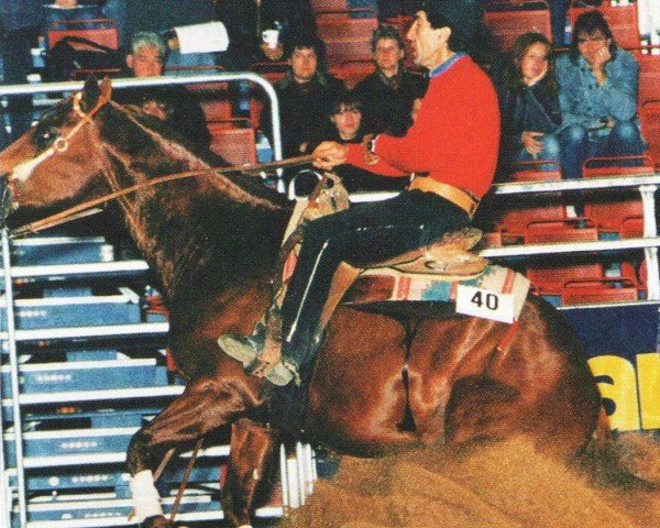 horse Readers Dandy (Quarter Horse, 1989, from Par Reader)