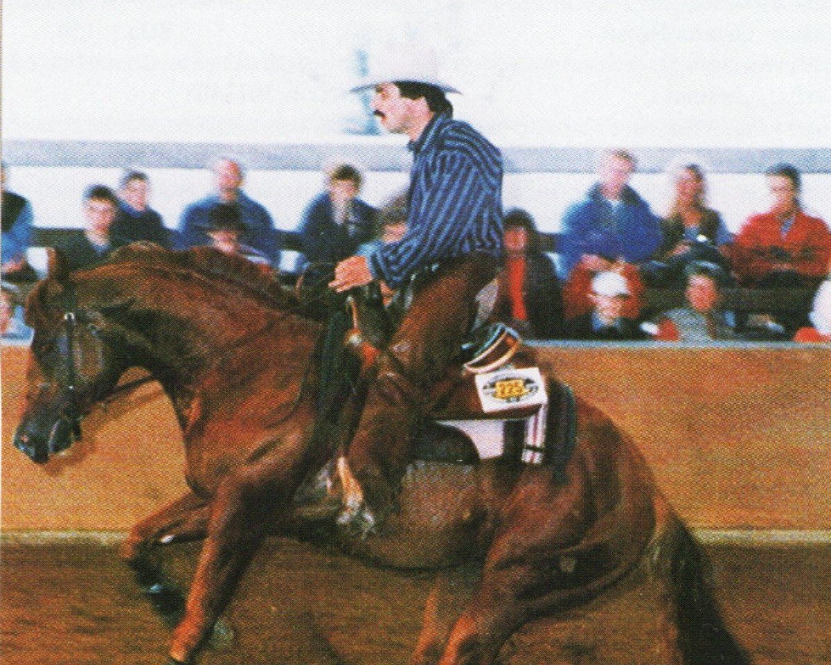stallion Monaco Franze (Quarter Horse, 1993, from Air to Beat)