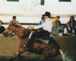 stallion Jewels Sugar Pan (Quarter Horse, 1988, from Tivio Jessie James)