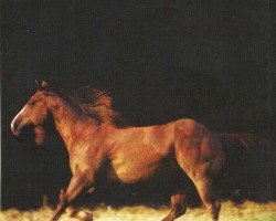 stallion Dox Cash 'N Hand (Quarter Horse, 1988, from Miss N Cash)