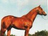 stallion Genuine Bartender (Quarter Horse, 1989, from Genuine Doc)